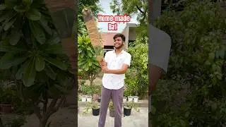 Making Cricket Bat From Wood At Home😱 #shorts