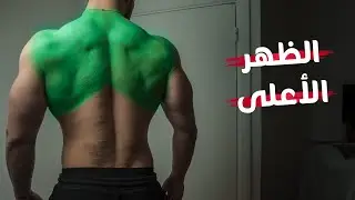 فرق القبضة | عضلة الظهر | الجزء الثالث