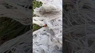 однажды фотограф пригласила меня на фотосессию в качестве модели.p.s. продолжение в тгк.💅🏻