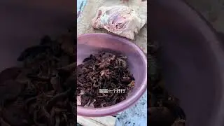 There are chicken stewed with mushrooms and vegetables#The New Farmer Program#This is life