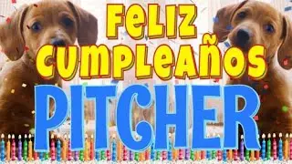 &iexcl;Feliz Cumplea&ntilde;os Pitcher! (Perros hablando gracioso) &iexcl;Muchas Felicidades Pitcher!