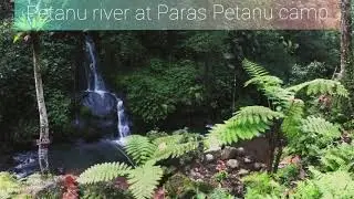 Paras Petanu at Petanu River #VLOGWISATA #pesonaindonesia #wonderfulindonesia