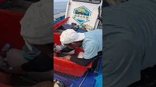 MASAK IKAN LAUT SEGAR HASIL MANCING DI KAPAL !!!  #fishing #mancing #mancingmania
