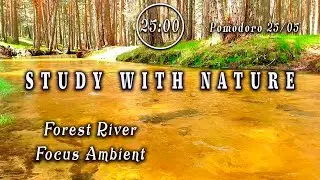 🕒POMODORO 25/5 🌿 Intense Study 🌿River Vibes to Increase Productivity & Focus🌿Productive Deep Work