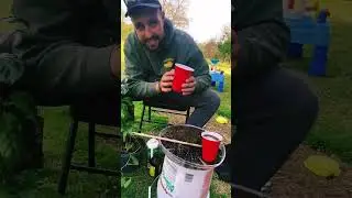 How to make really Shiny leaves indoor plants