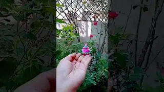 ketli making idea from waste/empty color container ||#shorts #short #diy #craft  #youtubeshorts