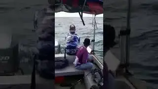 Tarikan Dahsyat Pari Manta Babon//Auto Release//Colab Angler//FFC