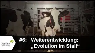 Automatische Melksysteme: 