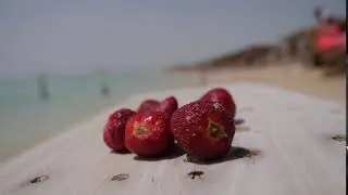 Orange Bay