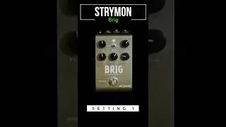 Strymon Brig: Analog Delay Perfection
