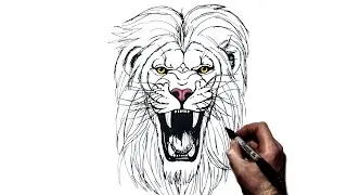 How To Draw a Lion (Roaring) | Step By Step