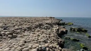 The Roman Concrete Harbor of Soli