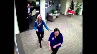 Don't take your Dog to Work