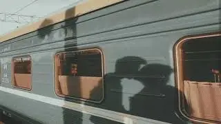 General Vibe - Nectarines