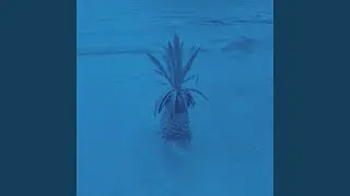 Easy Ambience for Beach Trips