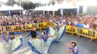 Canarios del Chaco