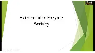 Shelby Richard measures extracellular enzyme activity for microbial activity and ecological change