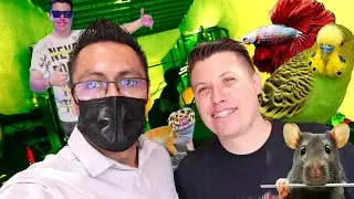 El Nuevo local de Marioblogs  (Mercado de peces morelos)
