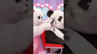 cat panda fun #funny #memes #cute #cat