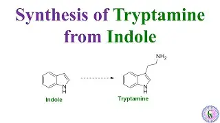 Synthesis of Tryptamine from Indole