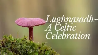 Lughnasadh~A Celtic Celebration