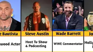 WWE Wrestlers After Retirement Job ll Data Center 