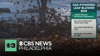 Lower Merion, Pennsylvania approves ban on gas-powered leaf blowers: what to know