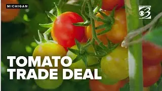 U.S. withdrawal from tomato trade deal with Mexico set to spike prices nationwide