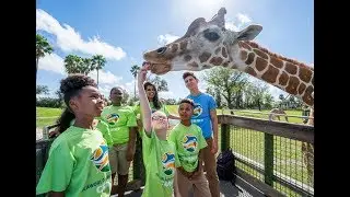 Summer Camps | Busch Gardens Tampa Bay