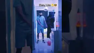 @klrahul  WHO THINK I CAN'T DANCE ❤️#klrahul #ipl #cricket #live