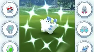 Krasses Jahr! Ich zeige alle meine Medaillen in Pok&eacute;mon GO