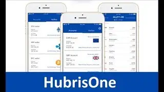 Обзор HubrisOne - Технологии и детали ICO