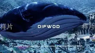 13.Magic Seaworld-Deep Sea Immersive Exploration | 8K Dome / Fulldome / Projection Visual