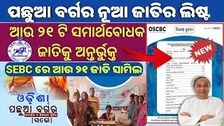 OBC Survey New Update/Backward Classes Survey New 21 Caste Add this Survey/ଆଉ ୨୧ଟିଜାତିକୁ ଅନ୍ତର୍ଭୁକ୍ତ