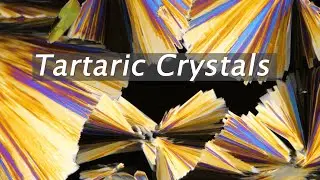 Tartaric crystals growing under a microscope (Polarized light)