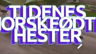 Beste Norskfødte Hester: Episode 7 MOE ODIN
