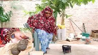SIXIR BAA LA II DHIGAY GARAASHKA GAARIGA WAANA AAN GUBAY DAAWADA COMMENTS KA SOO QORA