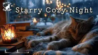 Relaxing Piano BGM | Dreamy Starry Night with a Sleeping Cat | Cozy Winter Piano
