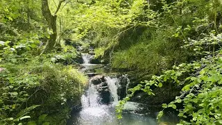 4K | Cascadas de Lamiña, una ruta espectacular 😍 | Parque Natural Saja-Besaya | Cantabria infinita