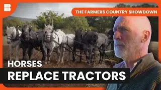 Heavy Horse Plowing Families Compete at Farm Show | The Farmers Country Showdown