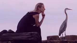 Elena Ostrovsky. Путник Милый. Dear Stranger.