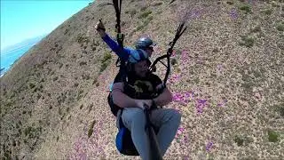 Soar (Concept Recording) - Joe van Wyk