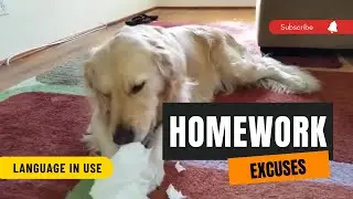 Homework Excuse List: Unveiling the Top Student Excuses We've All Heard!  #homework