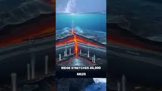 5 Earth Facts They Didn't Teach You in School 🌍