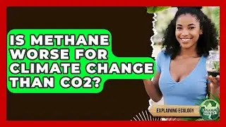 Is Methane Worse For Climate Change Than CO2? - Explaining Ecology