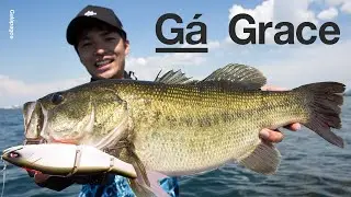 Gal&aacute;pagos BASS 第1弾ビッグベイト Grace(グレイス) 240F PV