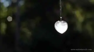 The Heart Connection