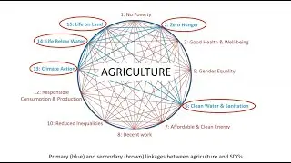 Perennial grain crops&ndash; a sustainable alternative to annual cropping (Lennart Olsson & Timothy Crews)
