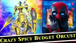 Orcust Deck Profile 2021 Below $100 BUDGET (8 - 10 Interruption end boards)