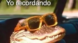 Mobile Legends Rol Soporte Gatocaka ft Gamer Politico - Partida intensa card&iacute;aca